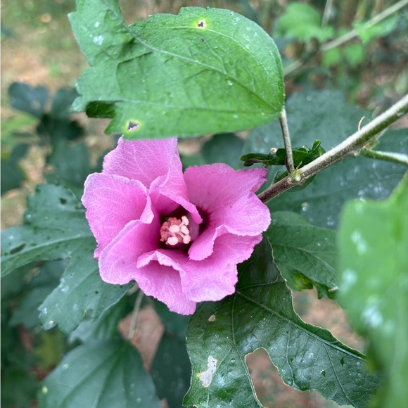 ⁉️MYSTERY BOX⁉️5 Mixed Pieces Cookie Lee Fine Fashion Jewelry worth $125+ Retail - Picture 7 of 15